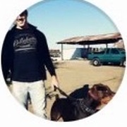 Robin Shull avatar